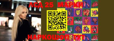 мяу мяу мука Будённовск