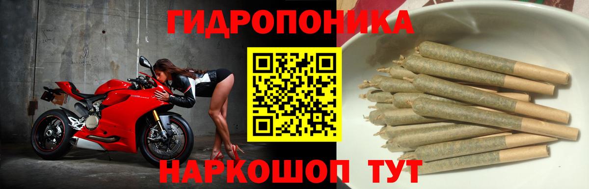 Рассказово  Канабис марихуана  Вход с VPN  МАРИХУАНА AK-47  Шишки марихуана AK-47  Марихуана план 